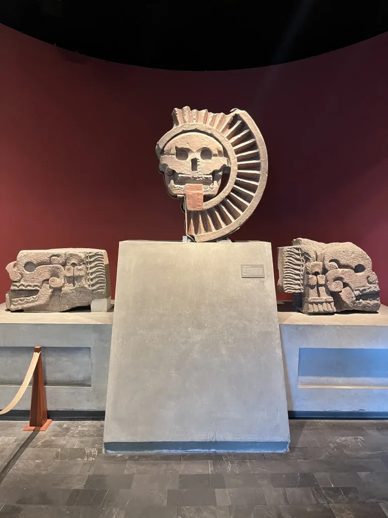 KakaoTalk_20240829_002905276_01.jpg?type=w773