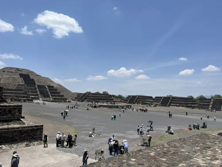 IMG_6383.jpg?type=w773