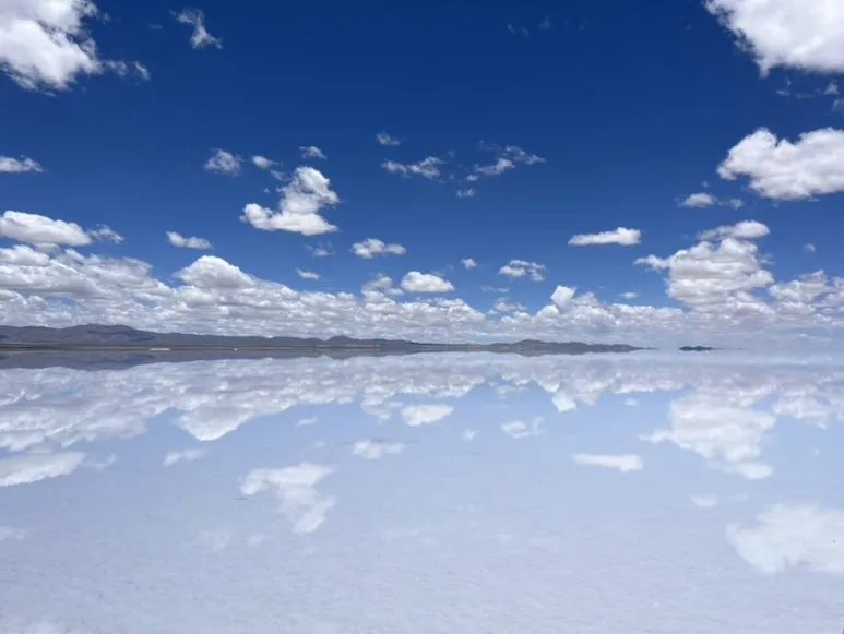 IMG_9096.jpg?type=w773