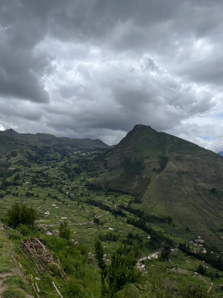 IMG_8949.jpg?type=w773