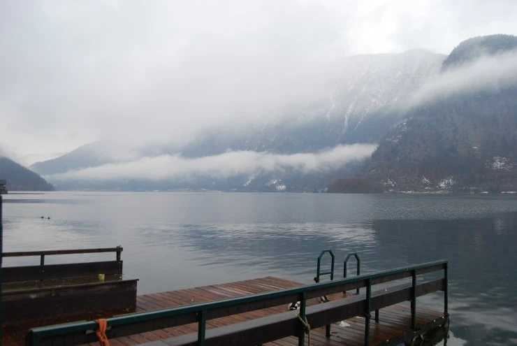 DSC_0743.JPG?type=w773