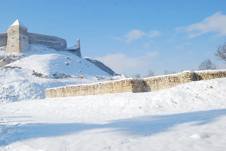 DSC_0694.JPG?type=w773