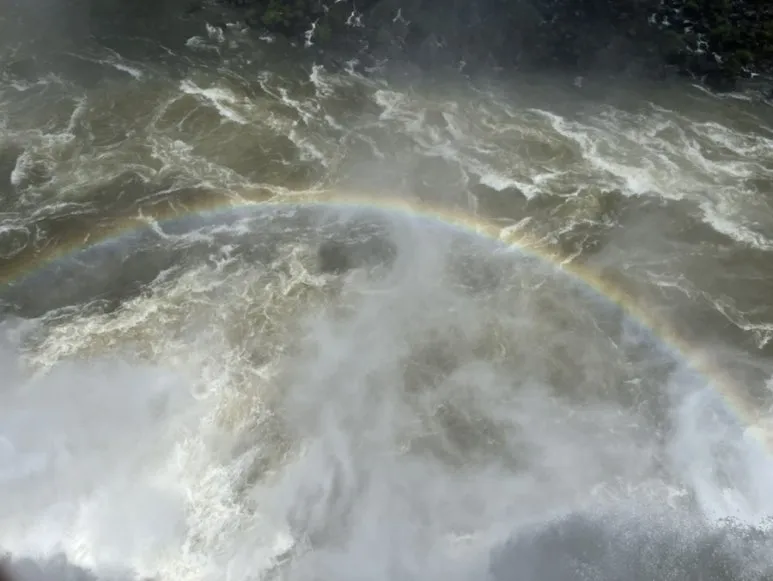 IMG_9615.jpg?type=w773