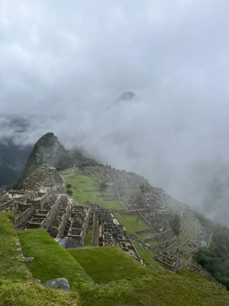 IMG_8842.jpg?type=w773