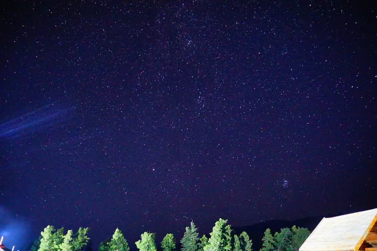 IMG_6847.JPG?type=w773