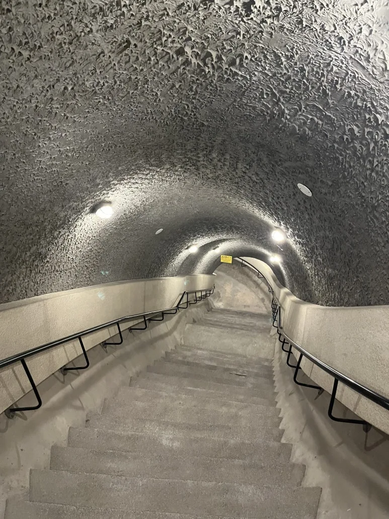 IMG_4309.JPG?type=w773