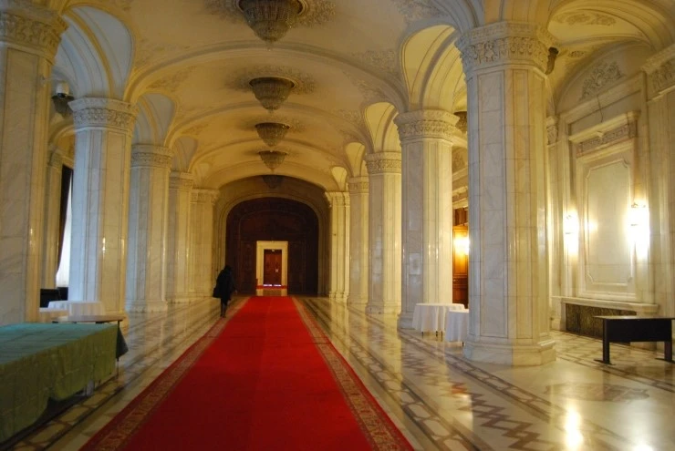 DSC_0797.JPG?type=w773