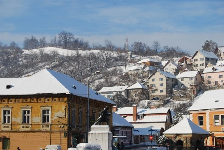 DSC_0585.JPG?type=w773