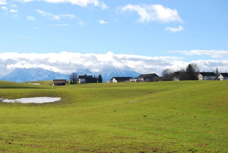 DSC_0228.JPG?type=w773