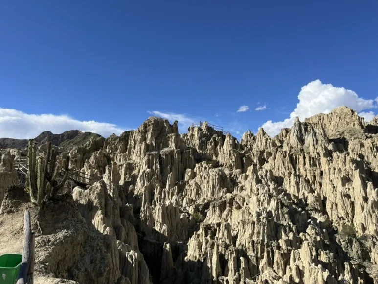 IMG_9041.jpg?type=w773