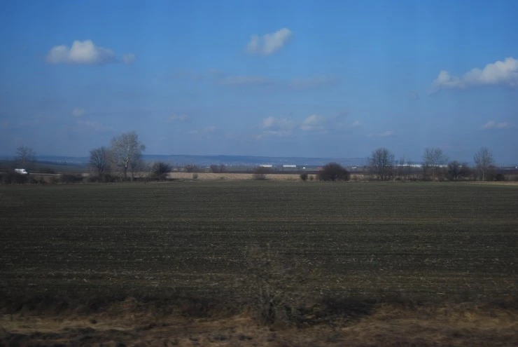 DSC_0375.JPG?type=w773