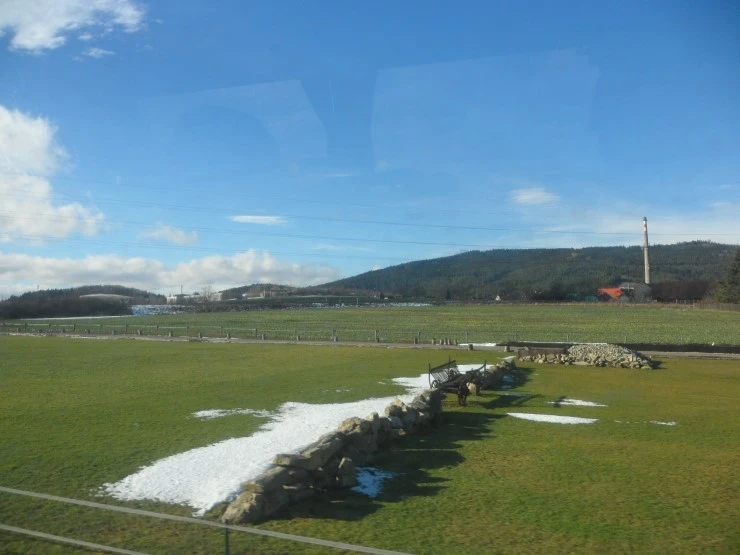 SAM_3485.JPG?type=w773