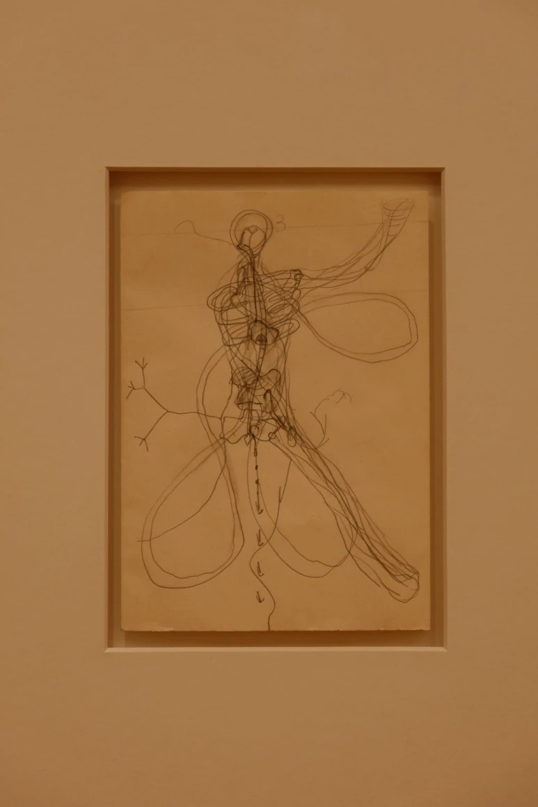 IMG_2117.JPG?type=w773