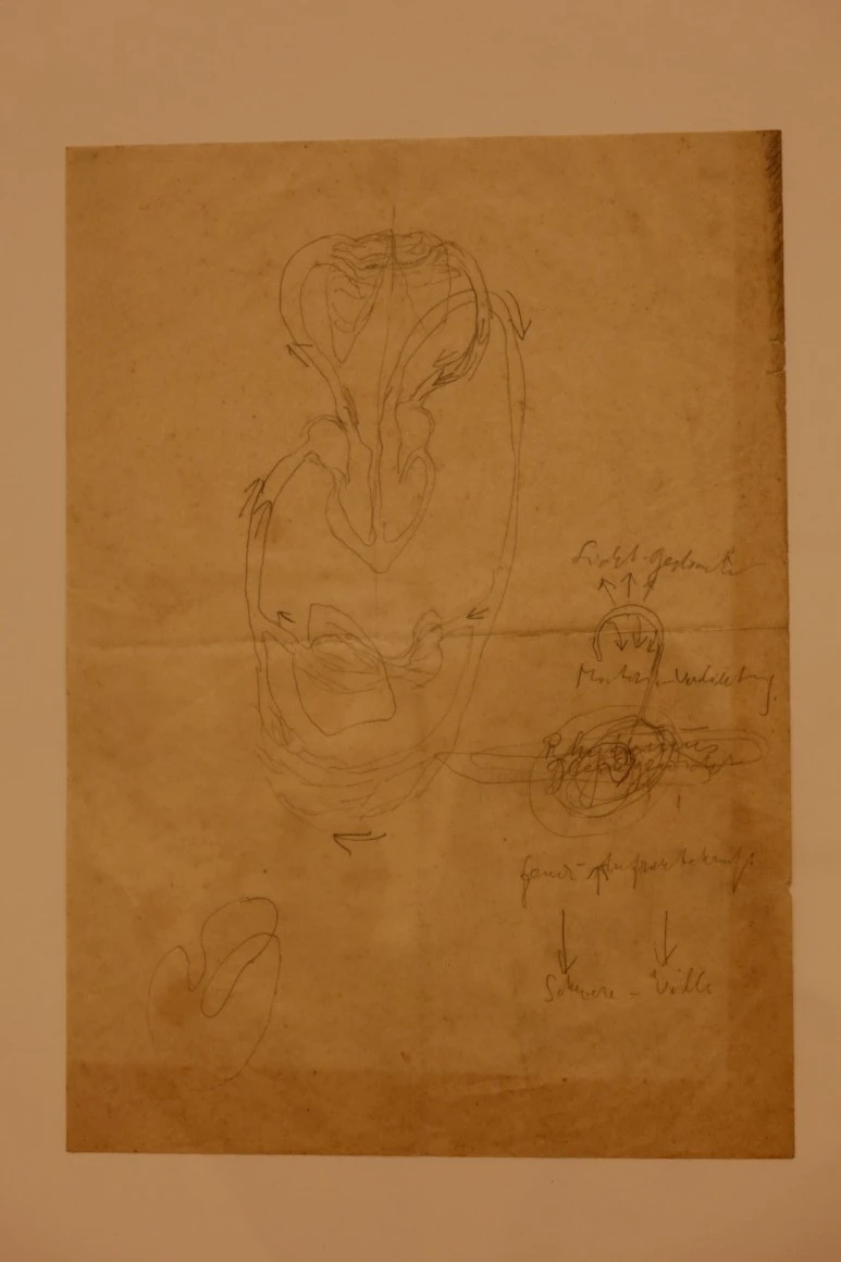 IMG_2116.JPG?type=w773