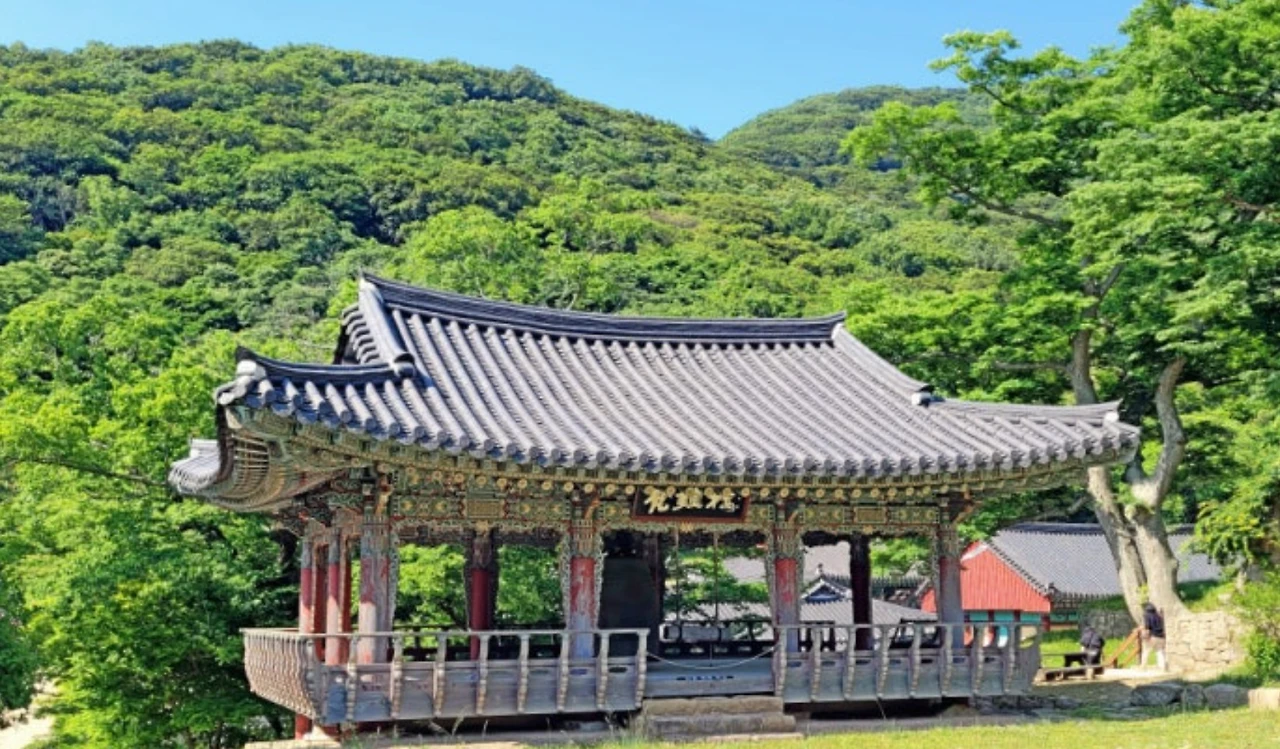 Screenshot 2025-05-11 at 13.25.56.JPG