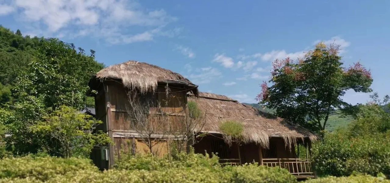 Screenshot 2024-07-01 at 23.24.01.JPG