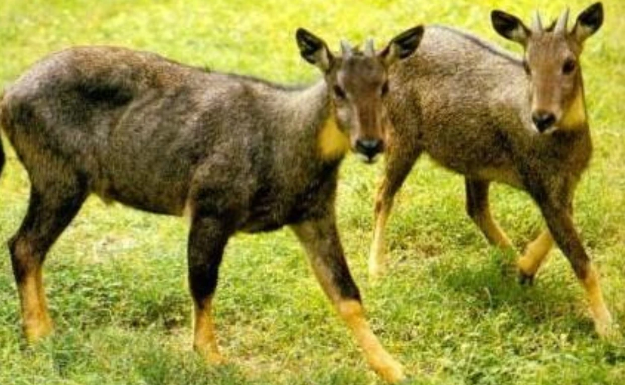 Screenshot 2025-05-05 at 15.51.58.JPG