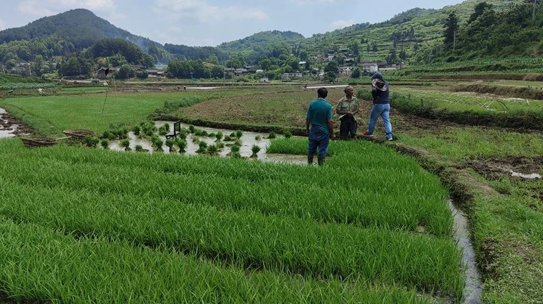 Screenshot 2024-05-14 at 09.52.58.JPG