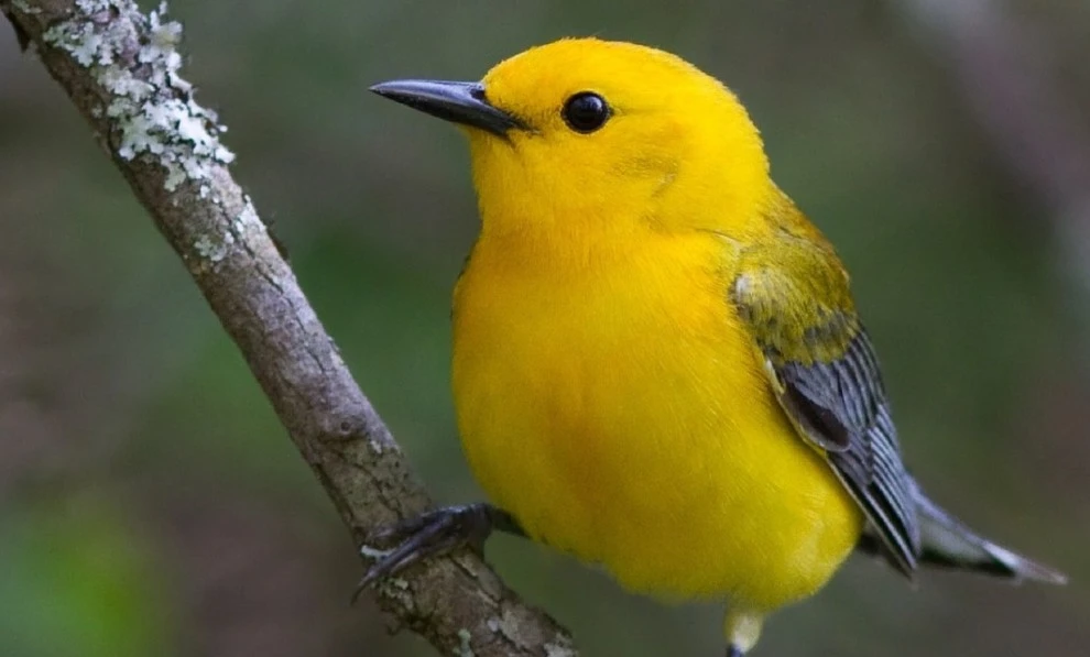 Screenshot 2025-05-05 at 16.03.59.JPG