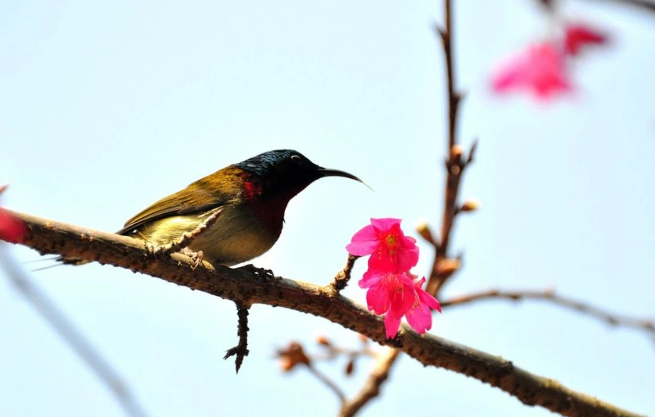 Screenshot 2024-04-24 at 11.17.52.JPG