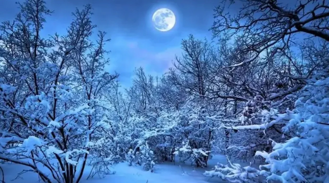 Screenshot 2024-12-20 at 17.59.09.JPG