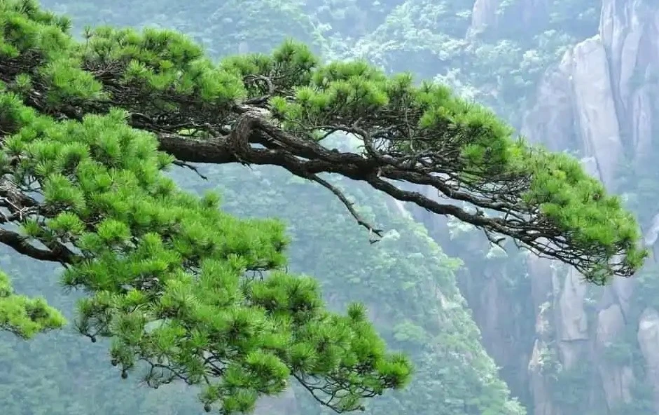 Screenshot 2024-04-27 at 23.09.40.JPG