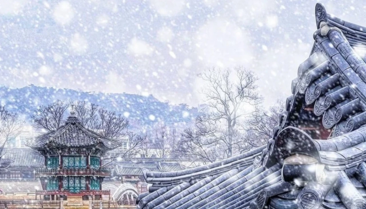 Screenshot 2025-01-13 at 20.24.34.JPG