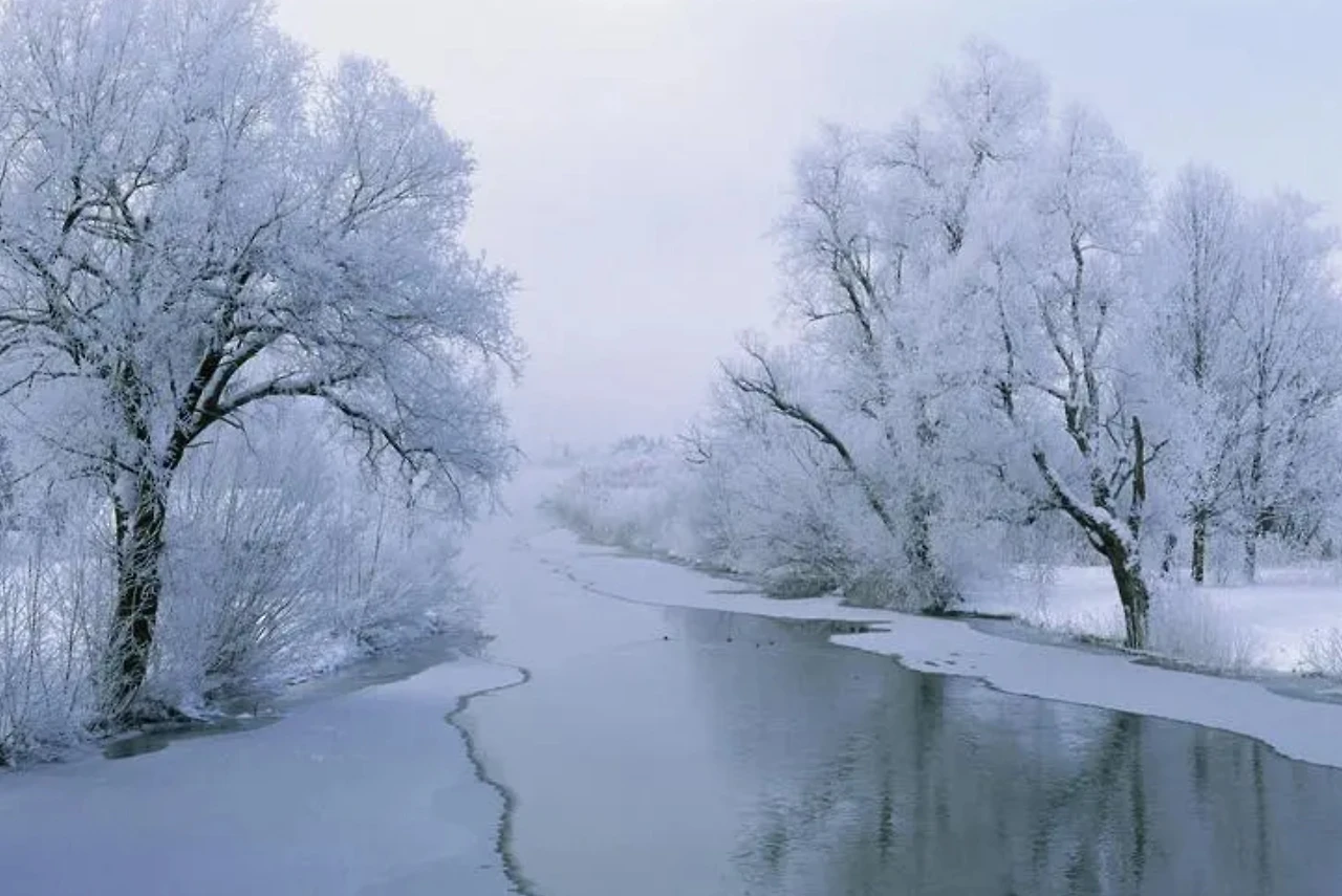 Screenshot 2024-04-28 at 20.46.20.JPG