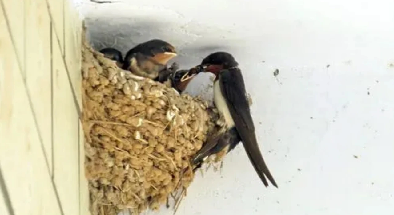 Screenshot 2024-06-22 at 21.50.54.JPG