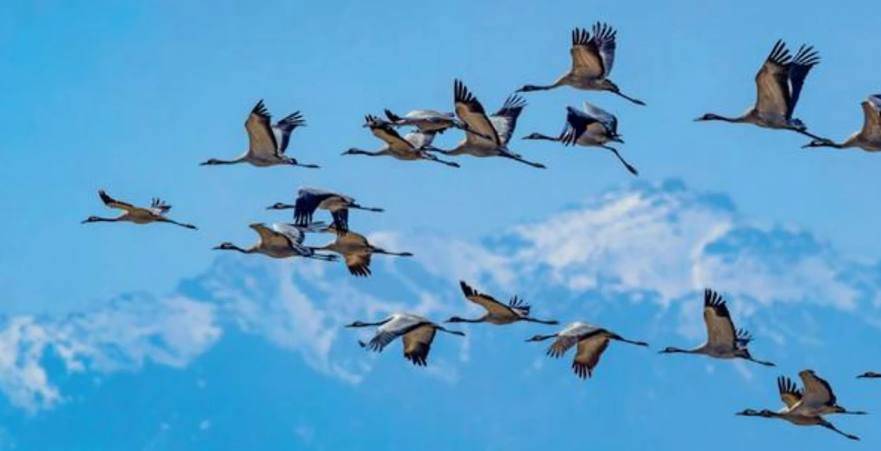 Screenshot 2025-05-05 at 13.06.36.JPG