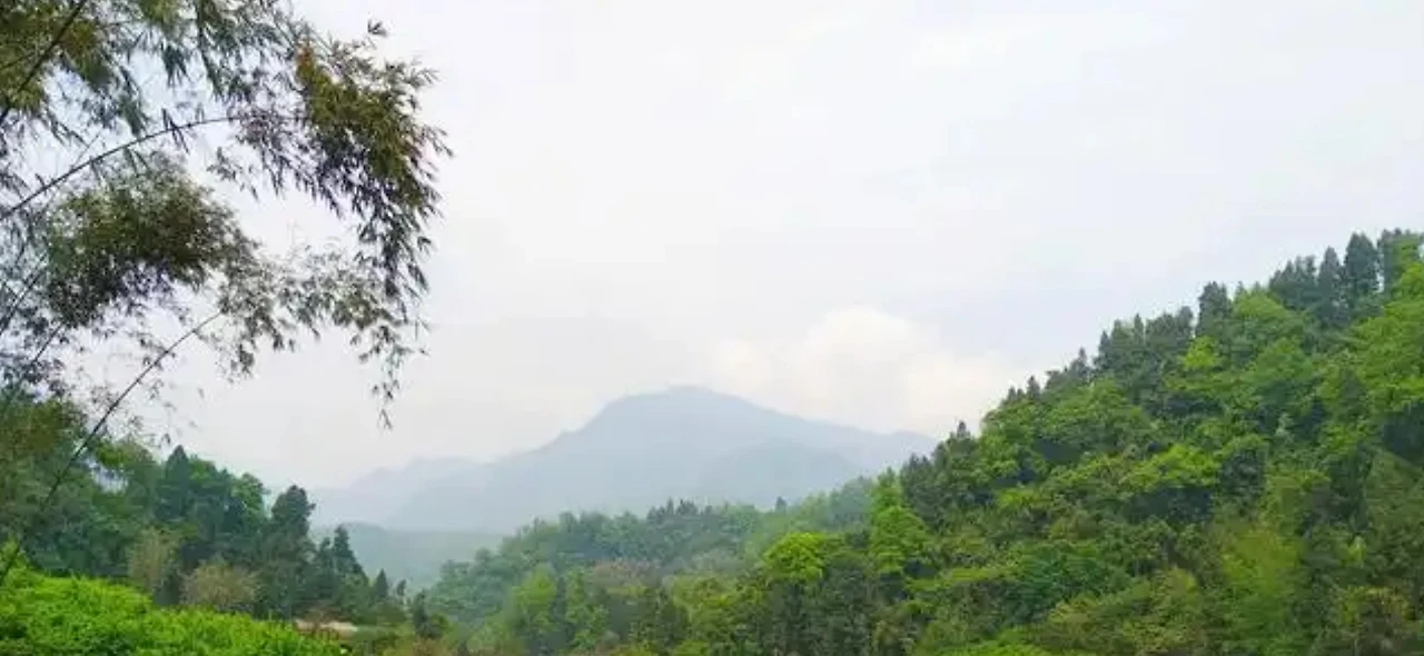 Screenshot 2024-12-19 at 23.45.15.JPG