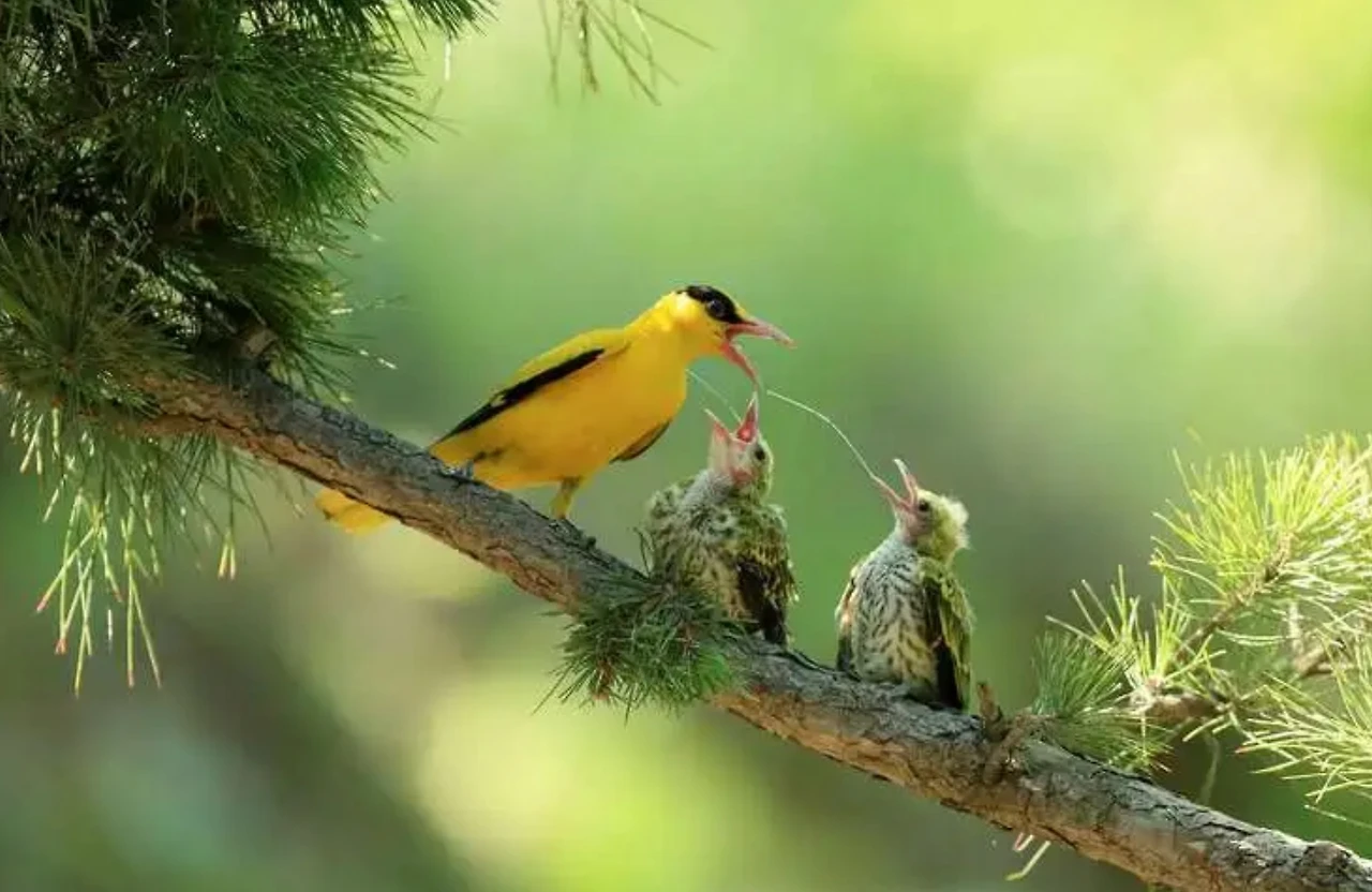 Screenshot 2024-06-21 at 23.34.59.JPG