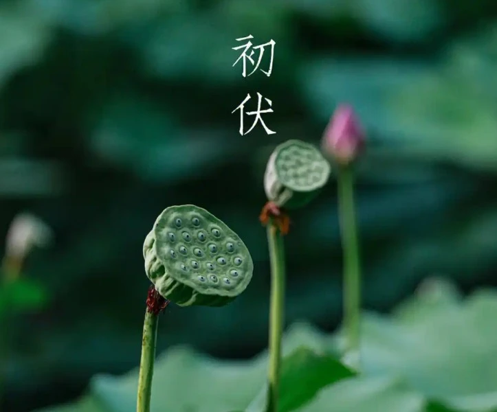 Screenshot 2025-07-21 at 23.03.33.JPG