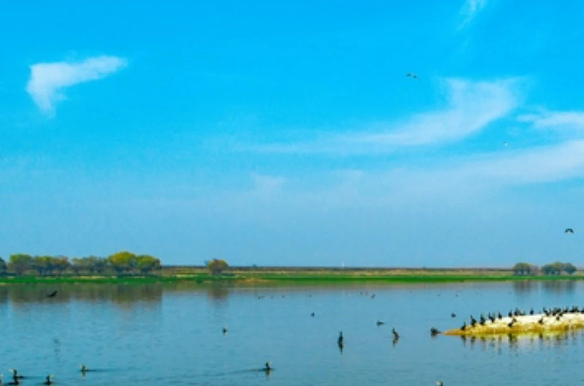 Screenshot 2024-06-10 at 00.38.06.JPG