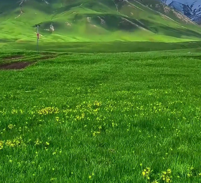 Screenshot 2025-05-15 at 21.30.38.JPG