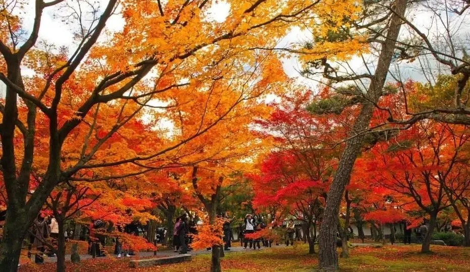 Screenshot 2024-05-12 at 22.47.28.JPG