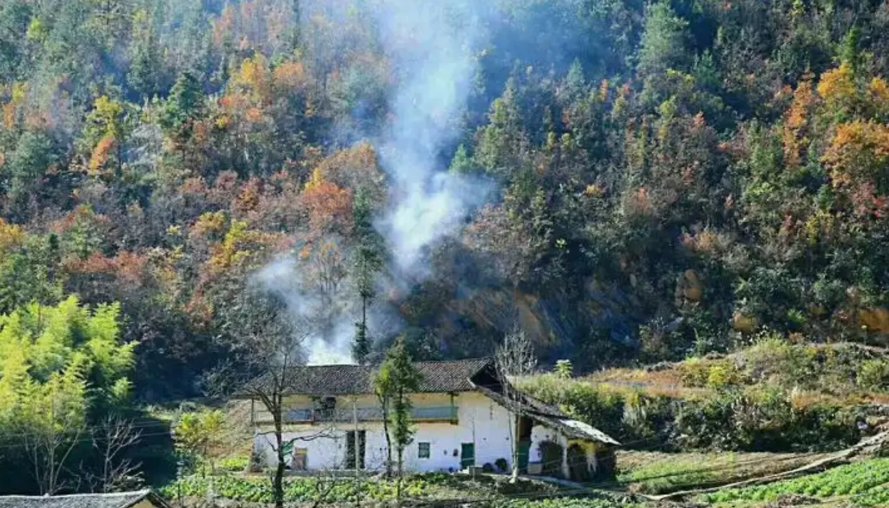 Screenshot 2024-12-19 at 23.44.38.JPG