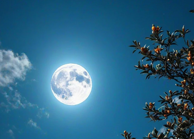 Screenshot 2025-06-19 at 23.00.59.JPG