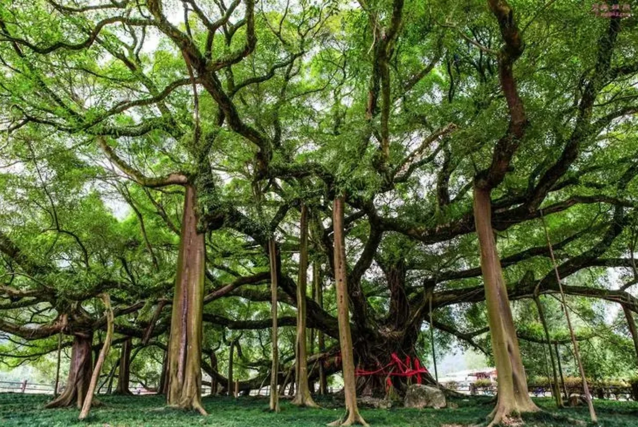 Screenshot 2024-06-23 at 00.43.49.JPG