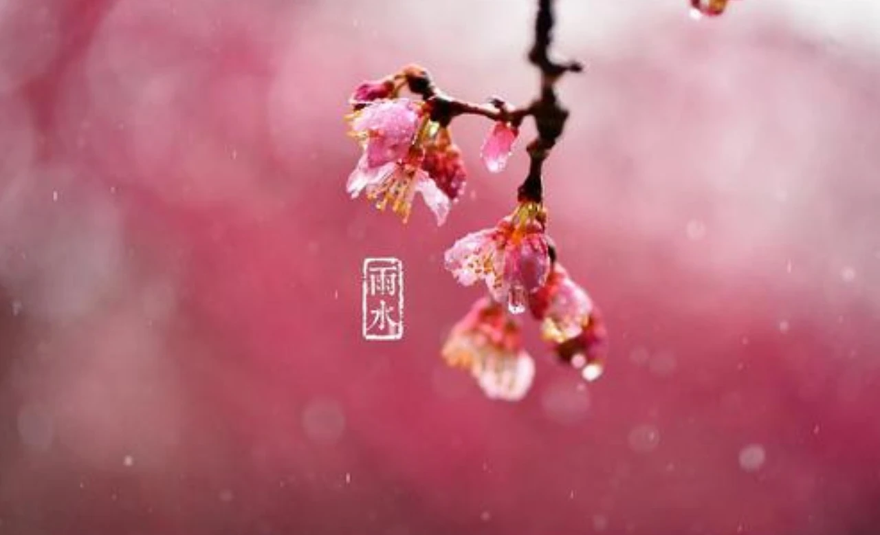 Screenshot 2024-02-20 at 21.53.12.JPG