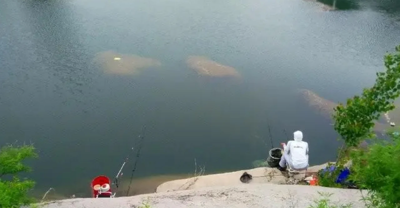 Screenshot 2024-07-16 at 01.19.16.JPG