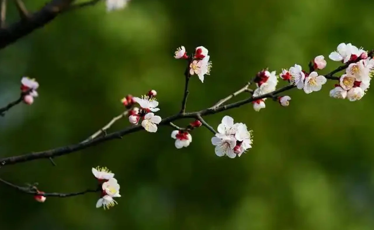 Screenshot 2024-12-20 at 23.21.52.JPG