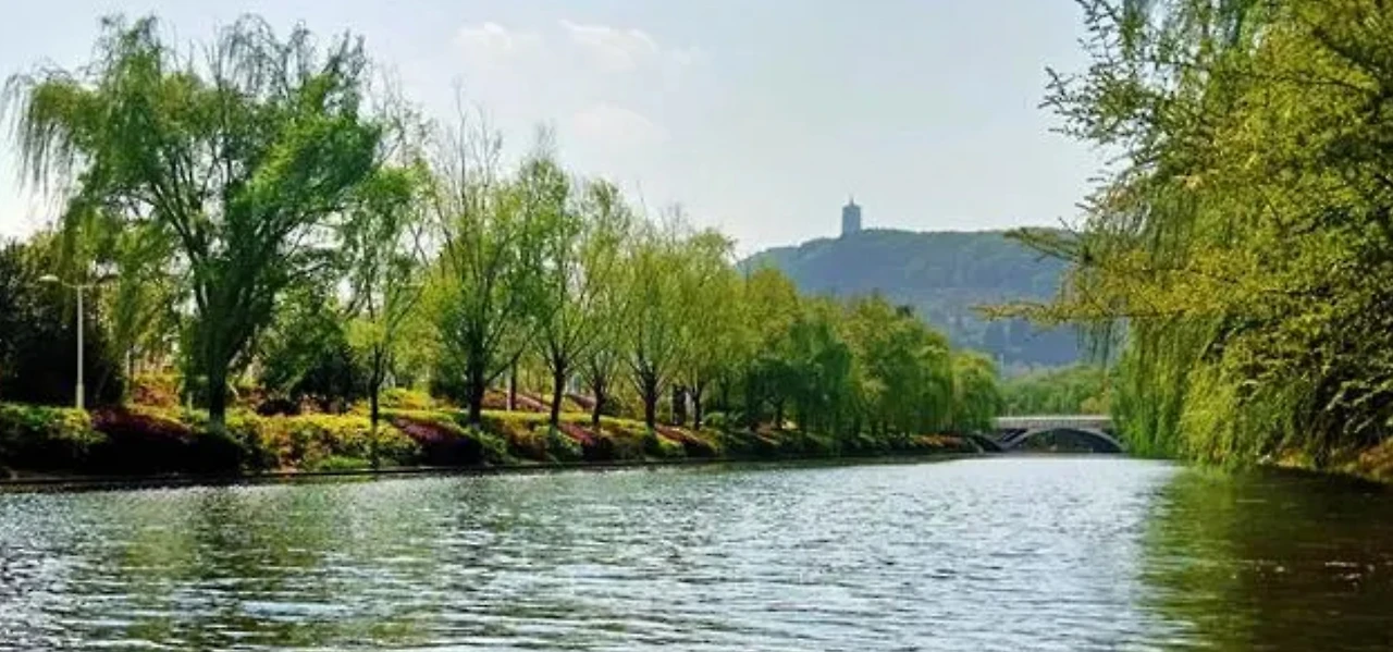 Screenshot 2024-05-15 at 20.57.31.JPG