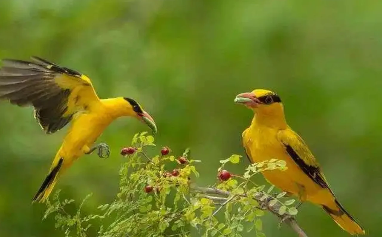 Screenshot 2024-06-21 at 23.34.27.JPG