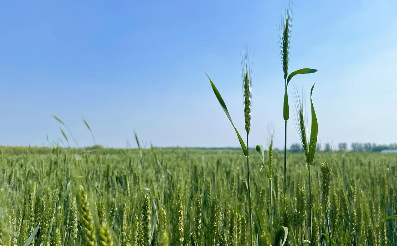 Screenshot 2025-05-19 at 21.18.35.JPG