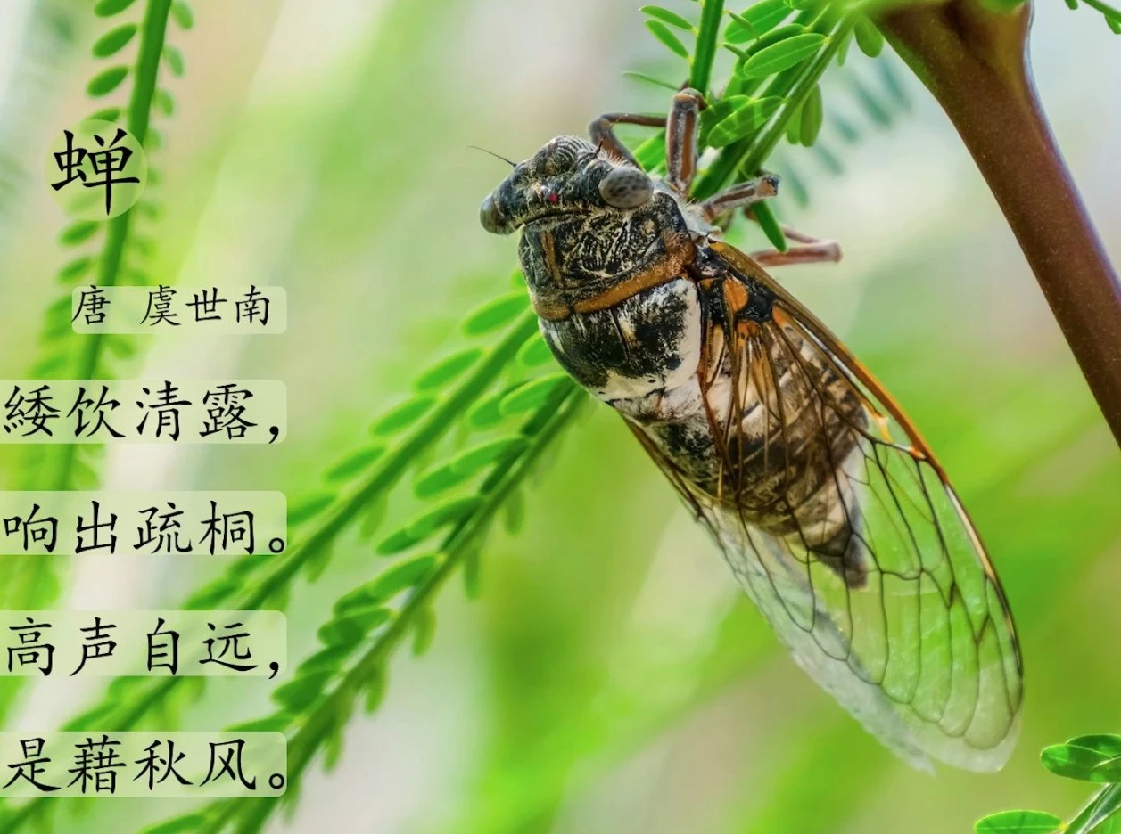 Screenshot 2025-05-12 at 00.04.41.JPG