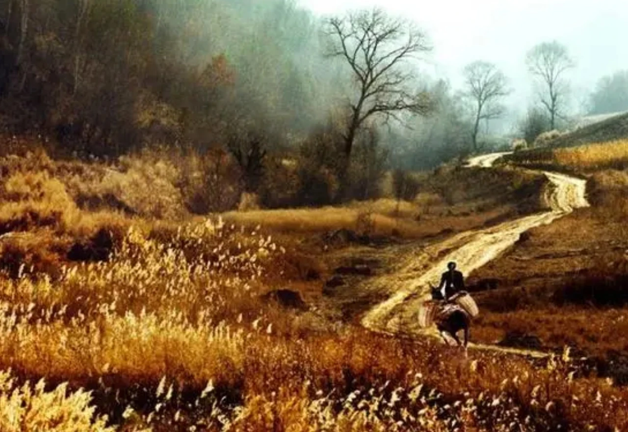 Screenshot 2024-02-10 at 02.02.35.JPG