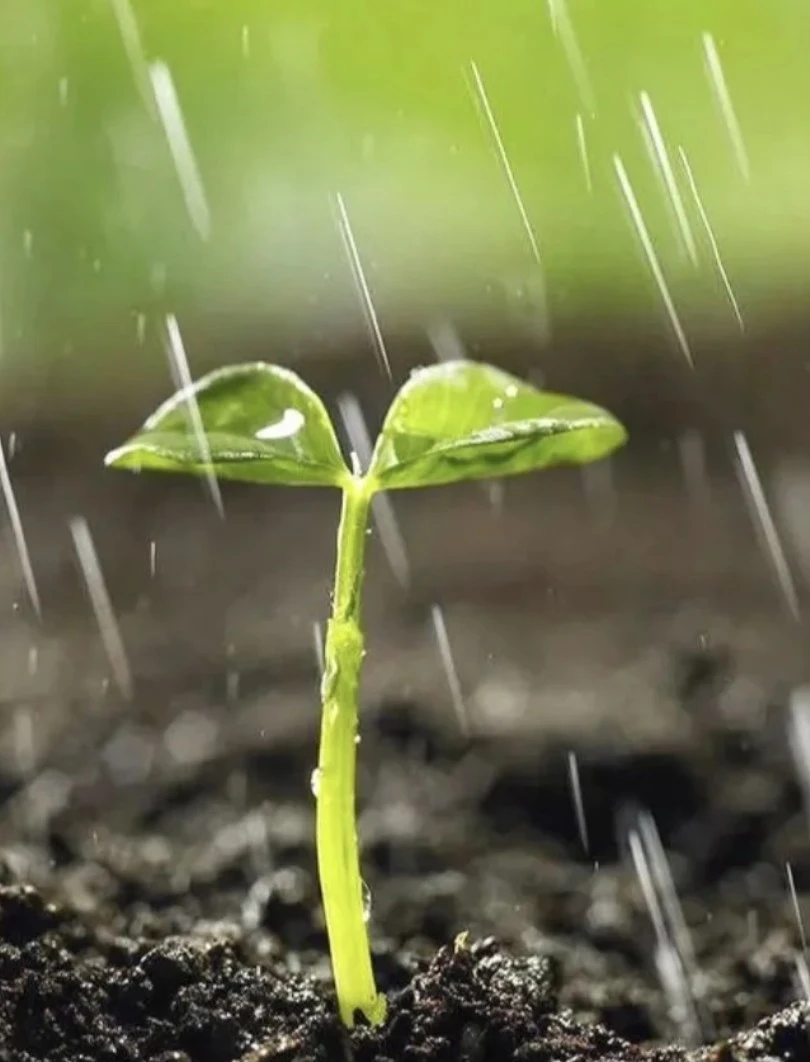 Screenshot 2024-12-18 at 23.10.33.JPG