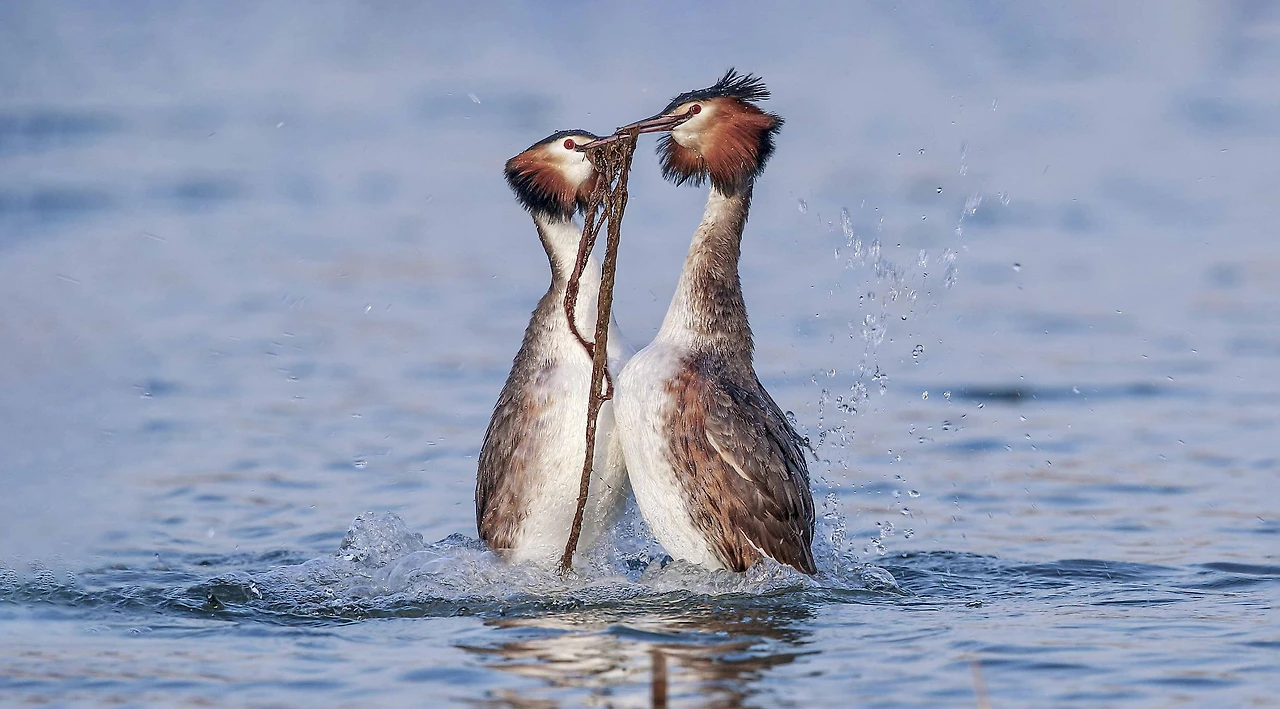 Screenshot 2024-07-21 at 12.40.02.JPG