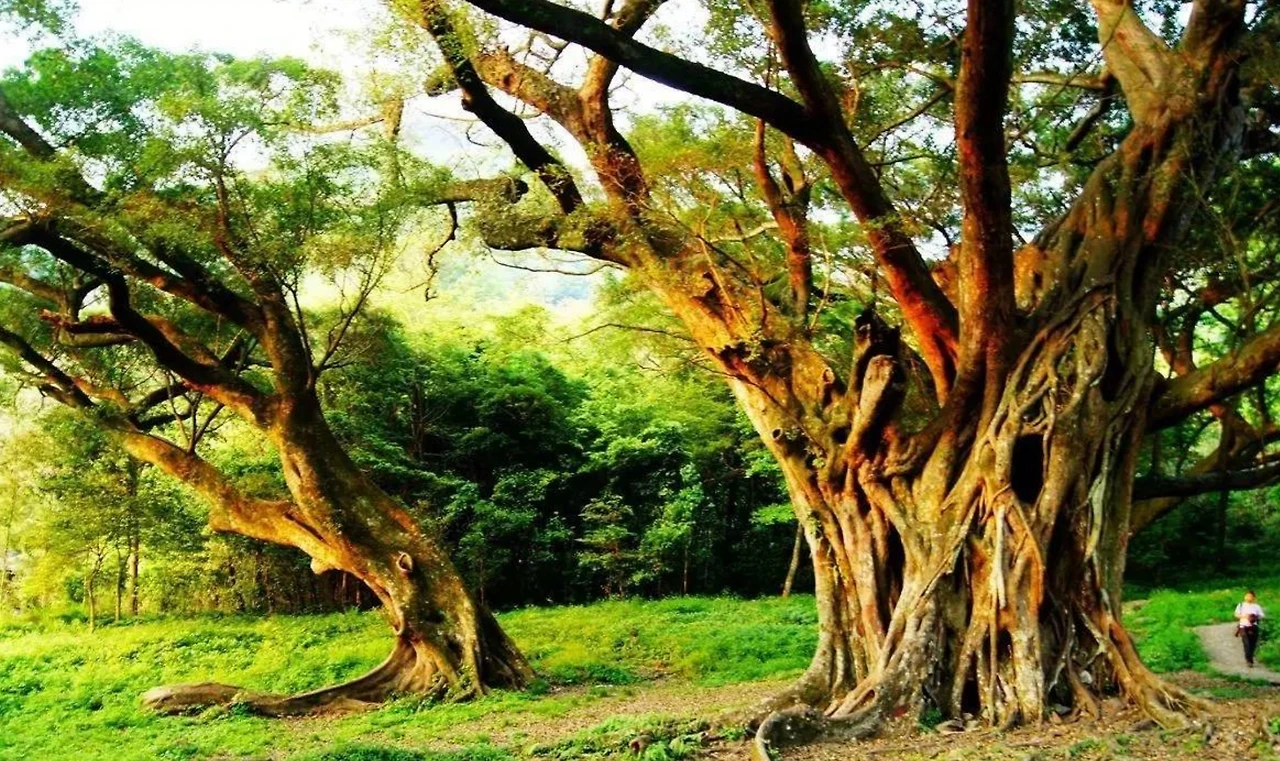 Screenshot 2024-06-23 at 00.44.34.JPG